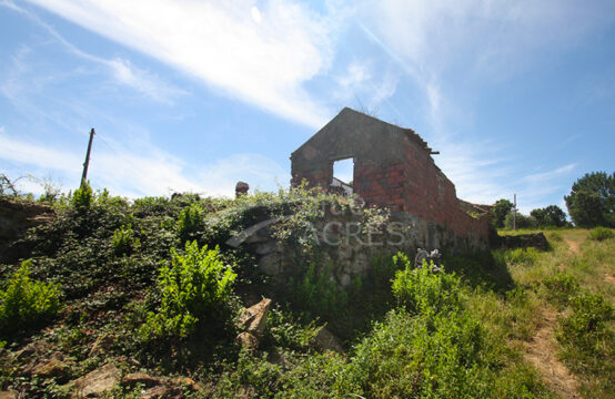 3042 | Large property with ruins and partially urbanizable, Casais do Avenal, Bombarral